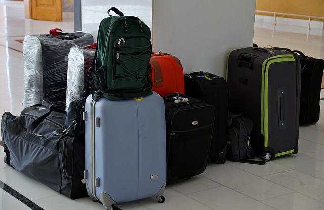 Travel Luggage