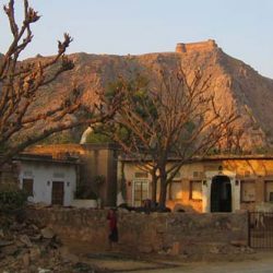 Bishnoi Village