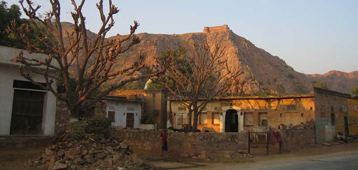 Bishnoi Village