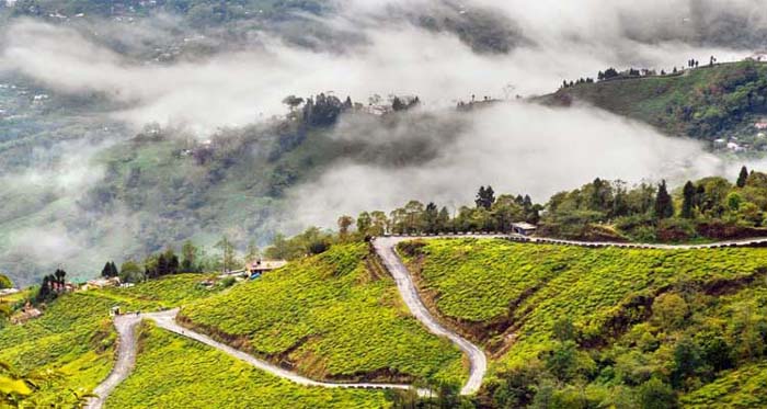 DARJEELING