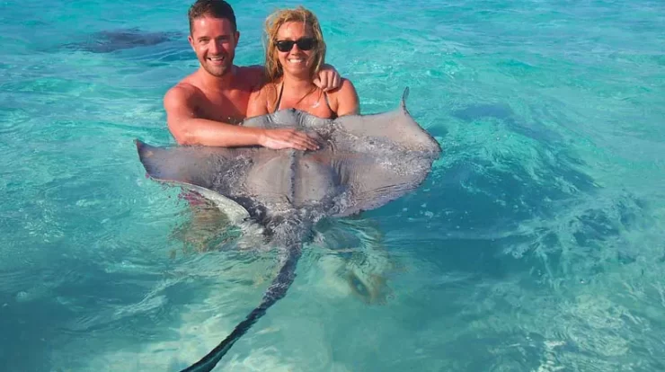 Stingray City Tours