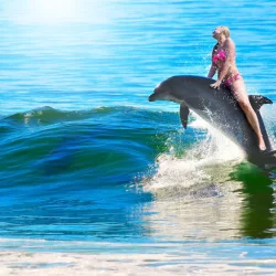 Swim with Dolphins in Cancun