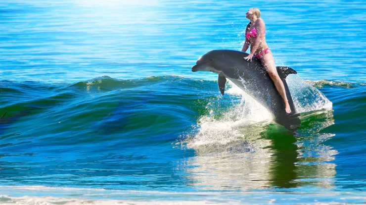 Swim with Dolphins in Cancun