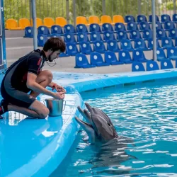 Swim with dolphins in Cancun