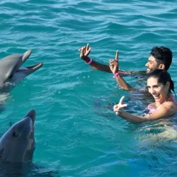Swim with Dolphins in Puerto Seco
