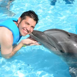 Swim with Dolphins in Punta Cana